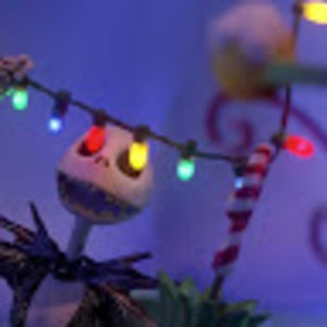 Meet your Posher, Judy